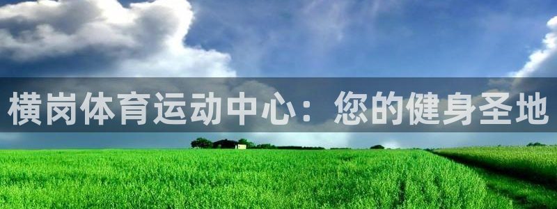 熊猫体育在线观看：横岗体育运动中心：您的健身圣地