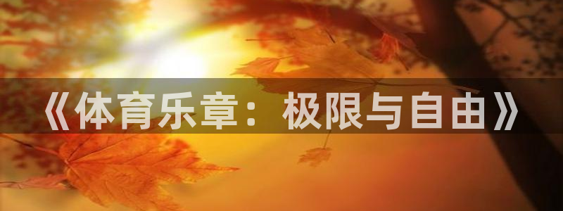 熊猫体育网址：《体育乐章：极限与自由》