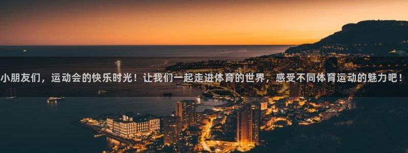 熊猫体育公园价格