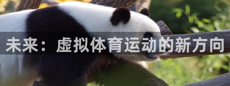 熊猫体育app官方入口