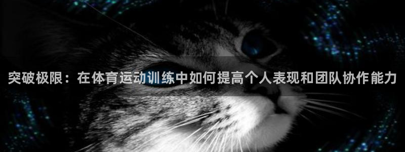 熊猫体育文化有限公司
