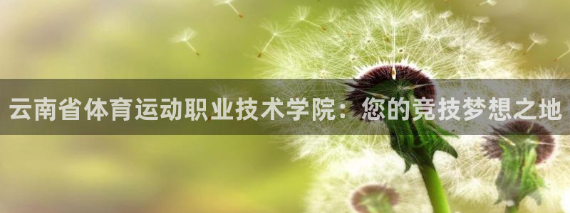 中山熊猫体育