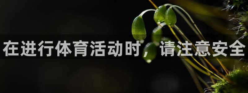 熊猫体育app官网入口