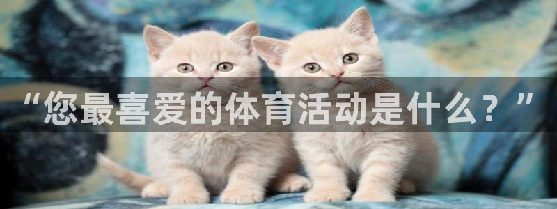 熊猫体育直播nba