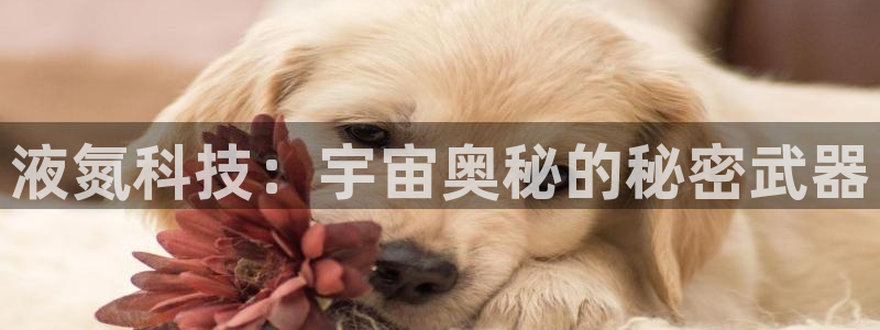 熊猫体育在线观看