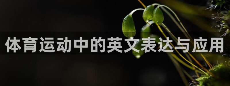 下载熊猫体育