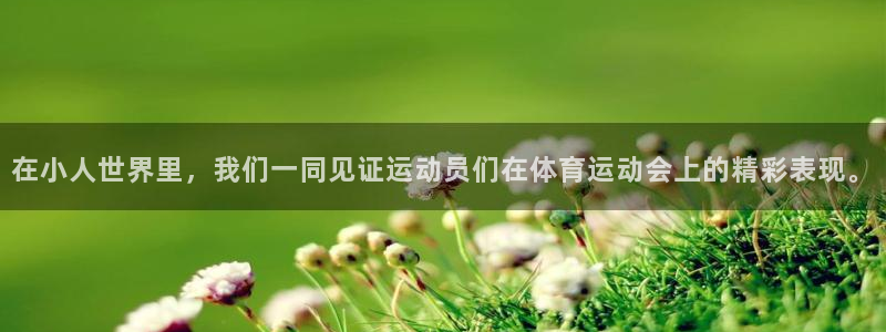 熊猫体育直播