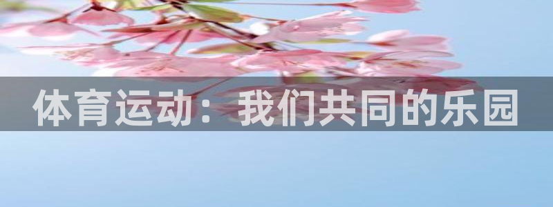 熊猫体育app官方下载最新版