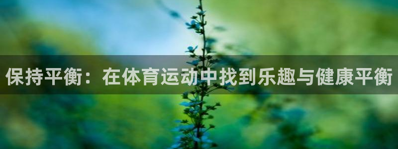熊猫体育官网