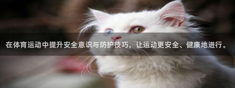 熊猫体育