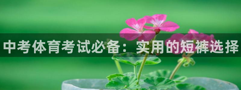 熊猫体育免费下载