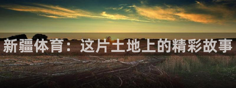 成都熊猫体育公园