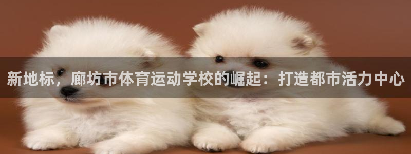 熊猫体育官方网站：新地标，廊坊市体育运动学校的崛起：打造都市活力中心