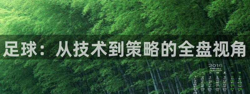 熊猫体育公园价格：足球：从技术到策略的全盘视角