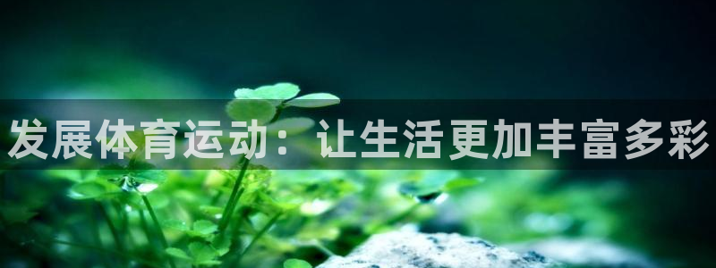 熊猫体育